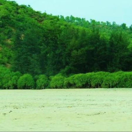 فندق جوكارنافي  Nirvana Nature المظهر الخارجي الصورة