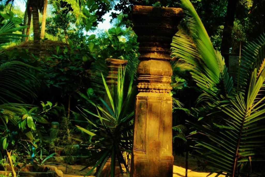 فندق جوكارنافي  Nirvana Nature المظهر الخارجي الصورة