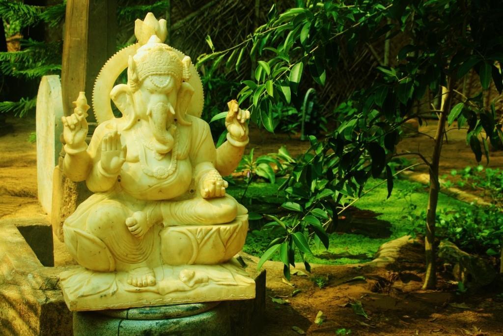 فندق جوكارنافي  Nirvana Nature المظهر الخارجي الصورة