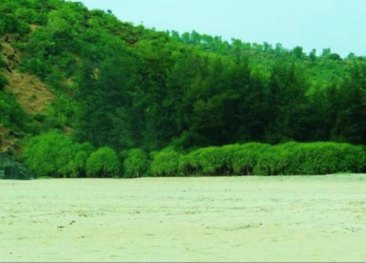 فندق جوكارنافي  Nirvana Nature المظهر الخارجي الصورة
