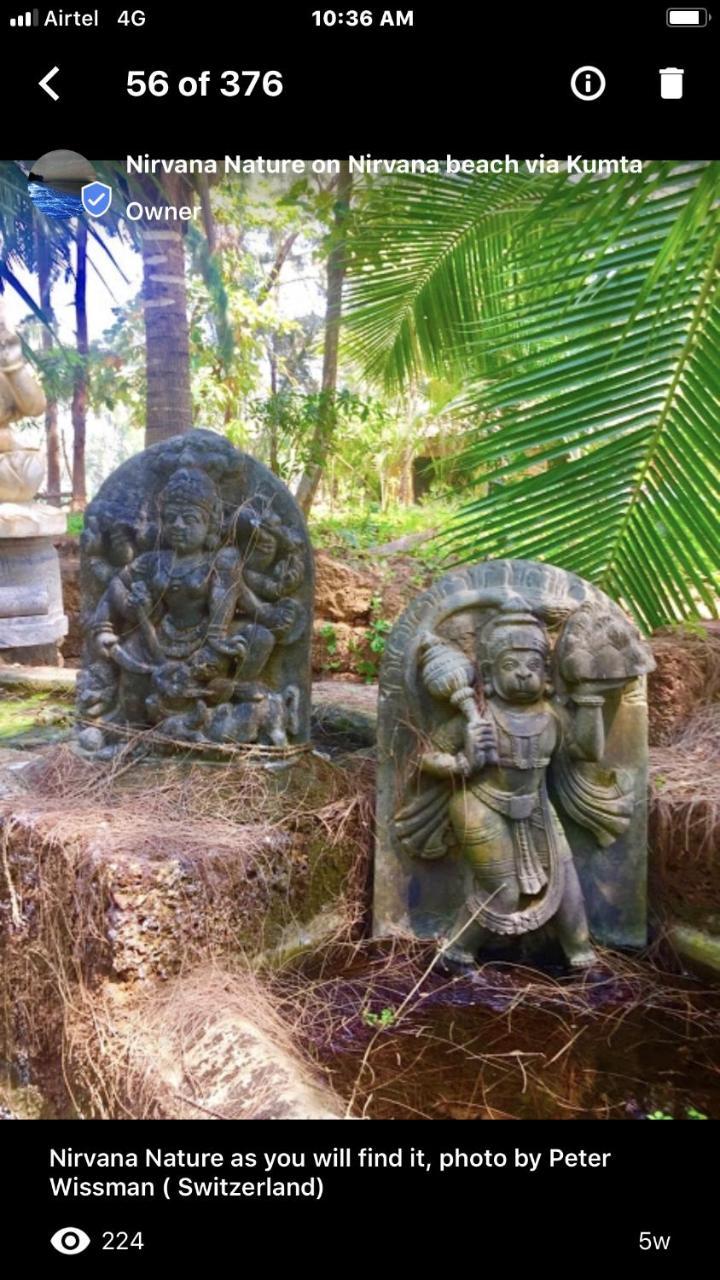 فندق جوكارنافي  Nirvana Nature المظهر الخارجي الصورة