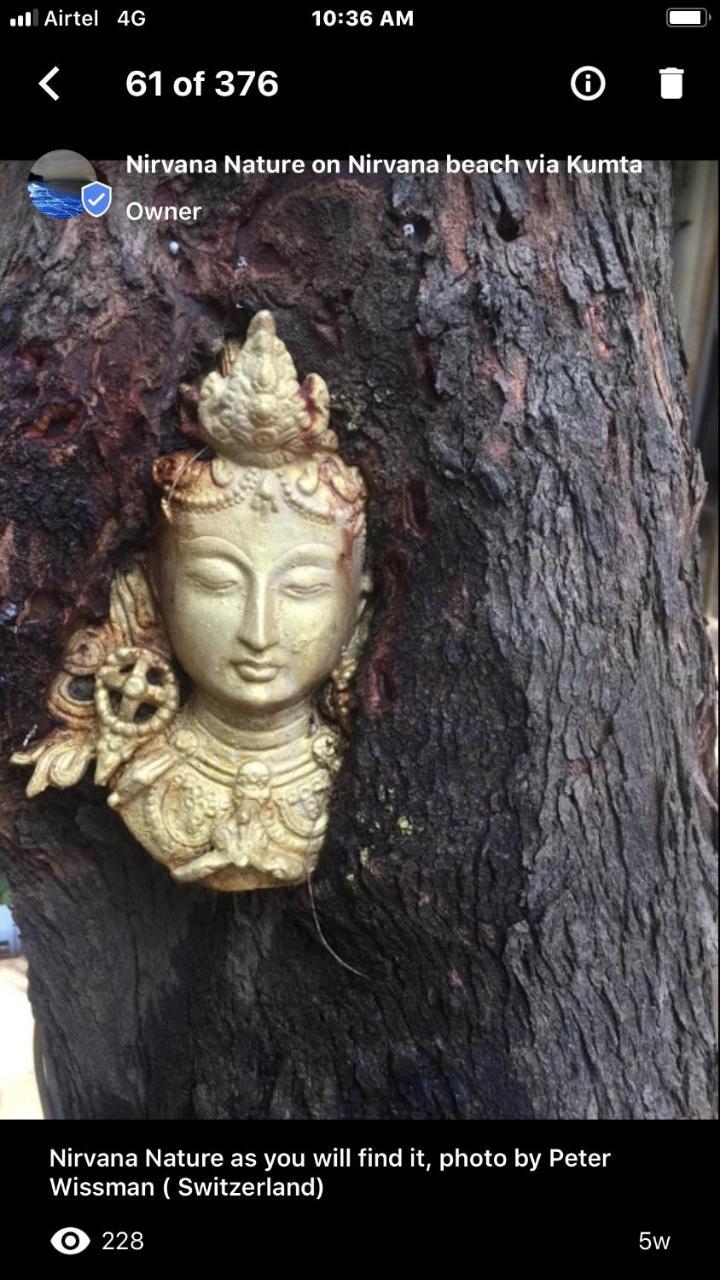 فندق جوكارنافي  Nirvana Nature المظهر الخارجي الصورة